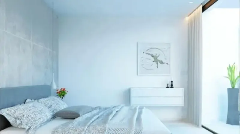 Apartamentos Limonero