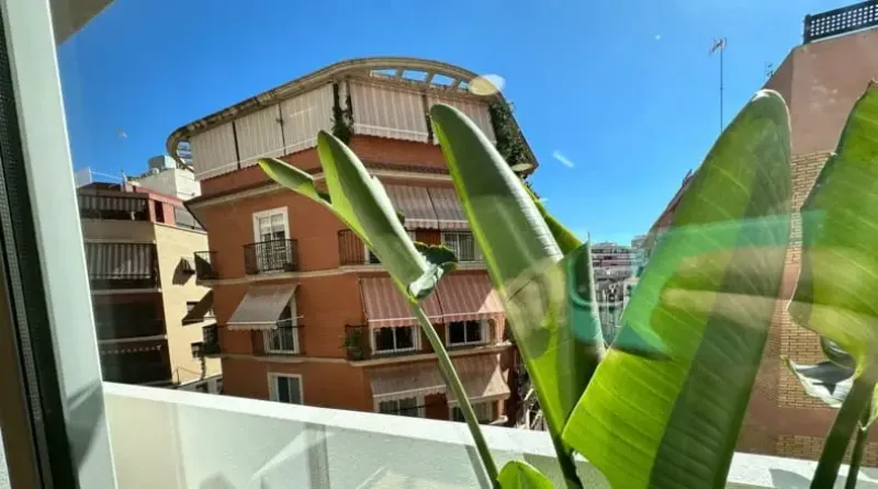 Carlota Pasaron