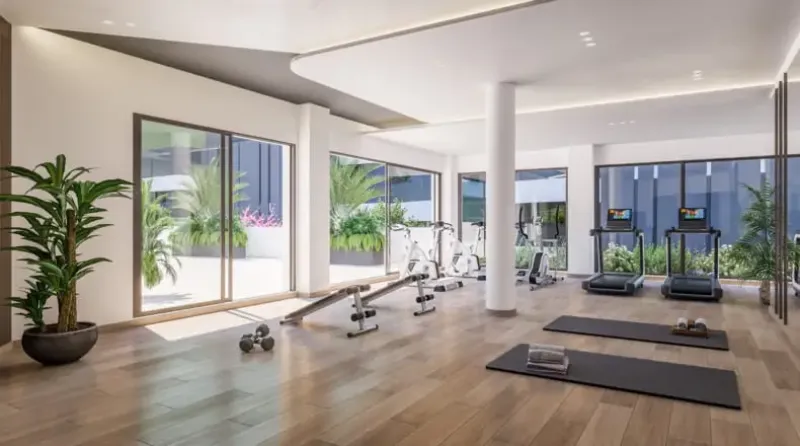 Oasis 325 Phase II