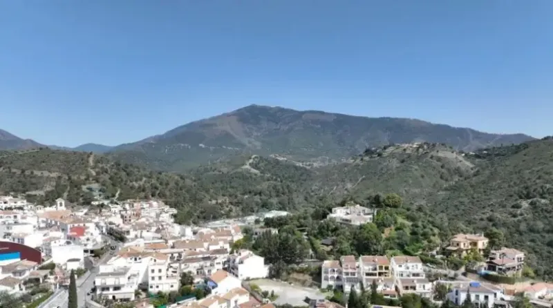 Fuente Lirios