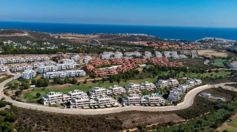 Bliss Homes