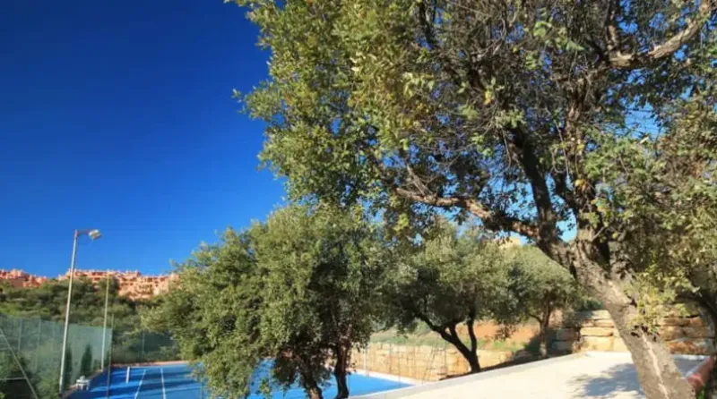 La Floresta De La Mairena