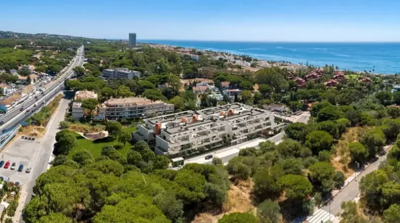 Estrella del Mar