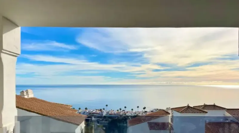 Blue Suites