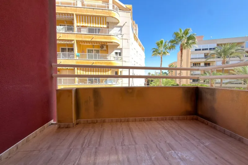 Playa de los Locos! Prostorný apartmán (2007) s velkou terasou a výhledem na palmový háj (220 metrů od pláže)