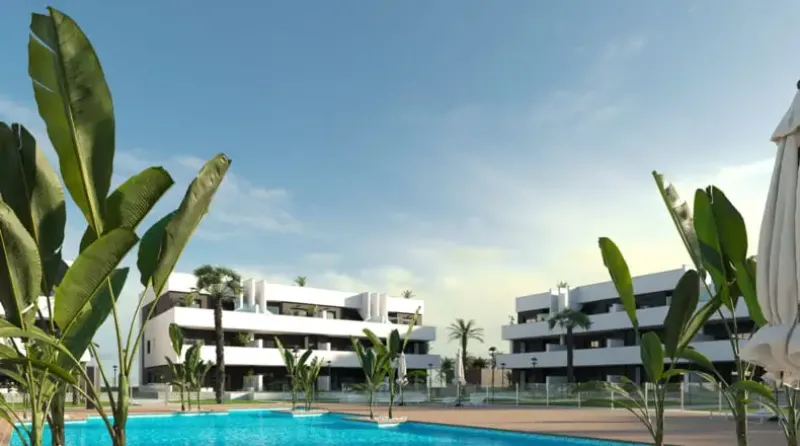Oasis Laguna